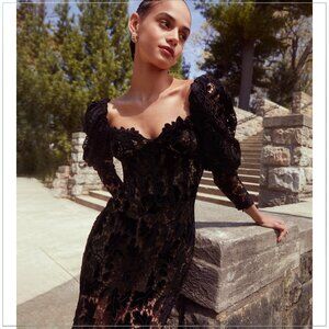 $5890 Oscar de la Renta Acorn Velvet and Guipure Lace Midi Runway Dress